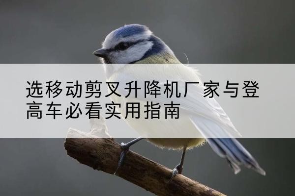 文安电动升降机厂家-选移动剪叉升降机厂家与登高车必看实用指南