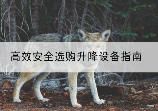 文安升降货梯厂家推荐-*安全选购升降设备指南