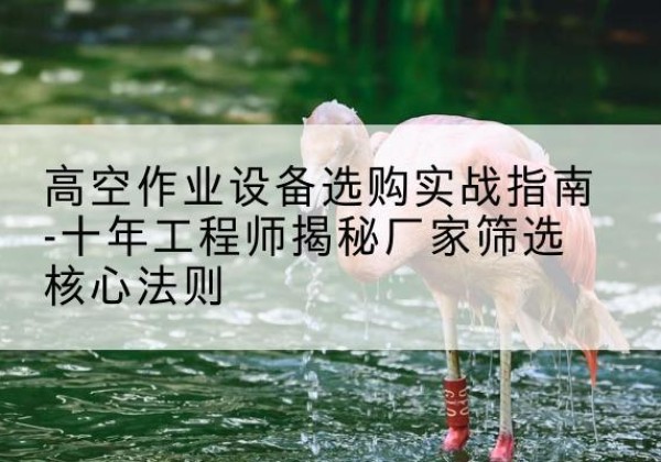 文安剪叉式升降机厂家-高空作业设备选购实战指南-十年工程师揭秘厂家筛选核心法则